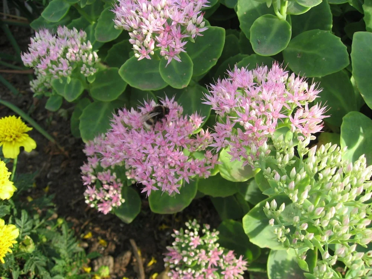 Rustic Apartment in Biendorf With Sauna