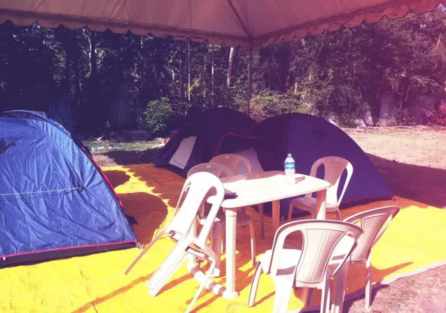 Coorg Coffee Flower Resort