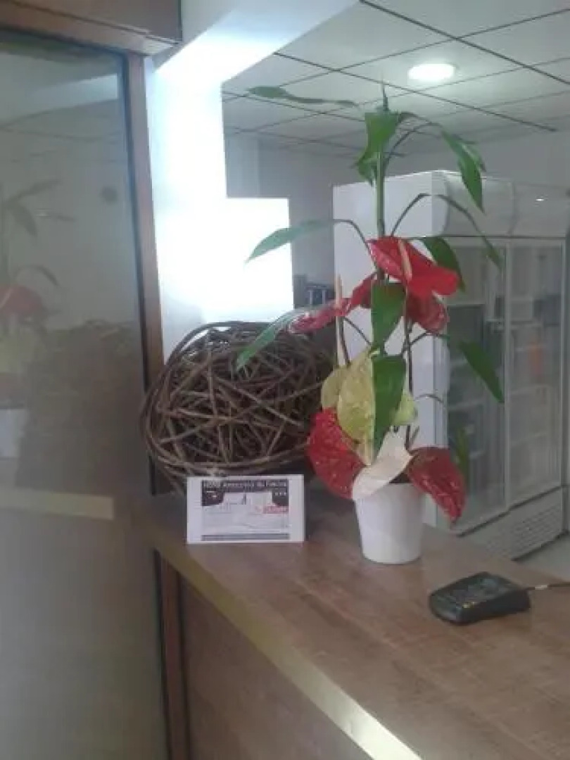 Hotel Amazonia Du Fleuve***