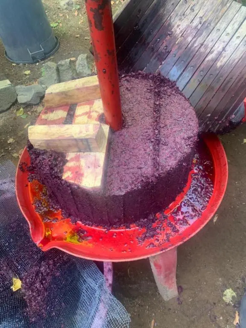 La Fontanella - Piccolo Appartamento nel Centro Storico di Nemi