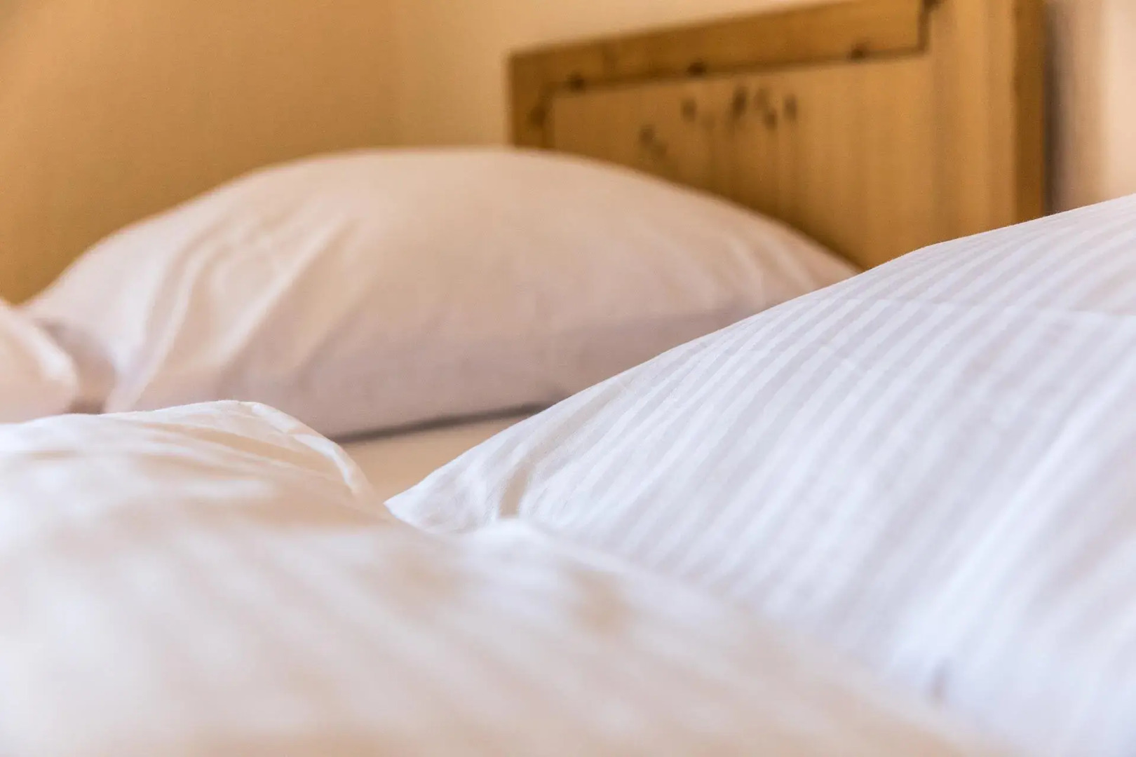 Hotel-Restaurant Zum Schwalbennest