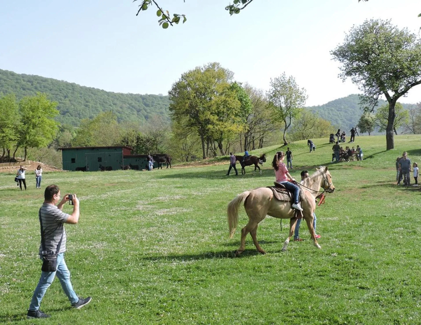 Villaggio Rurale Le Sette Querce