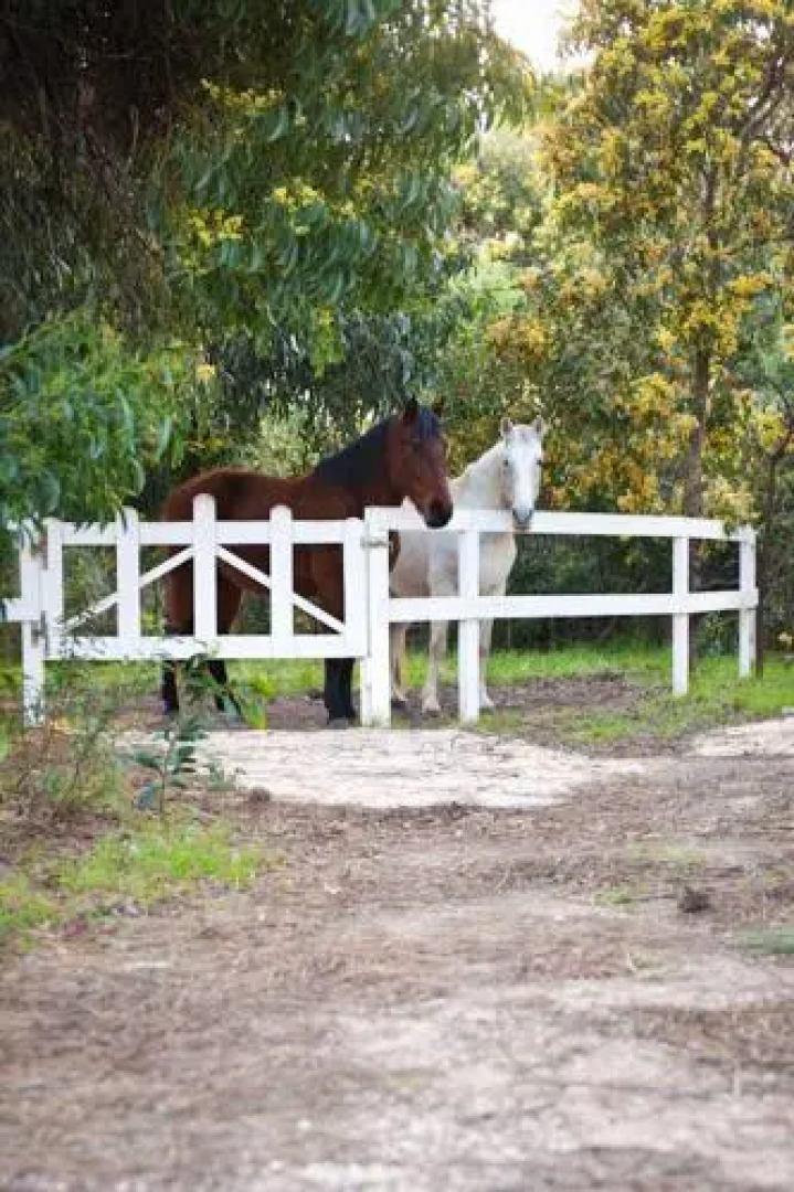 Herdade Monte Do Sol