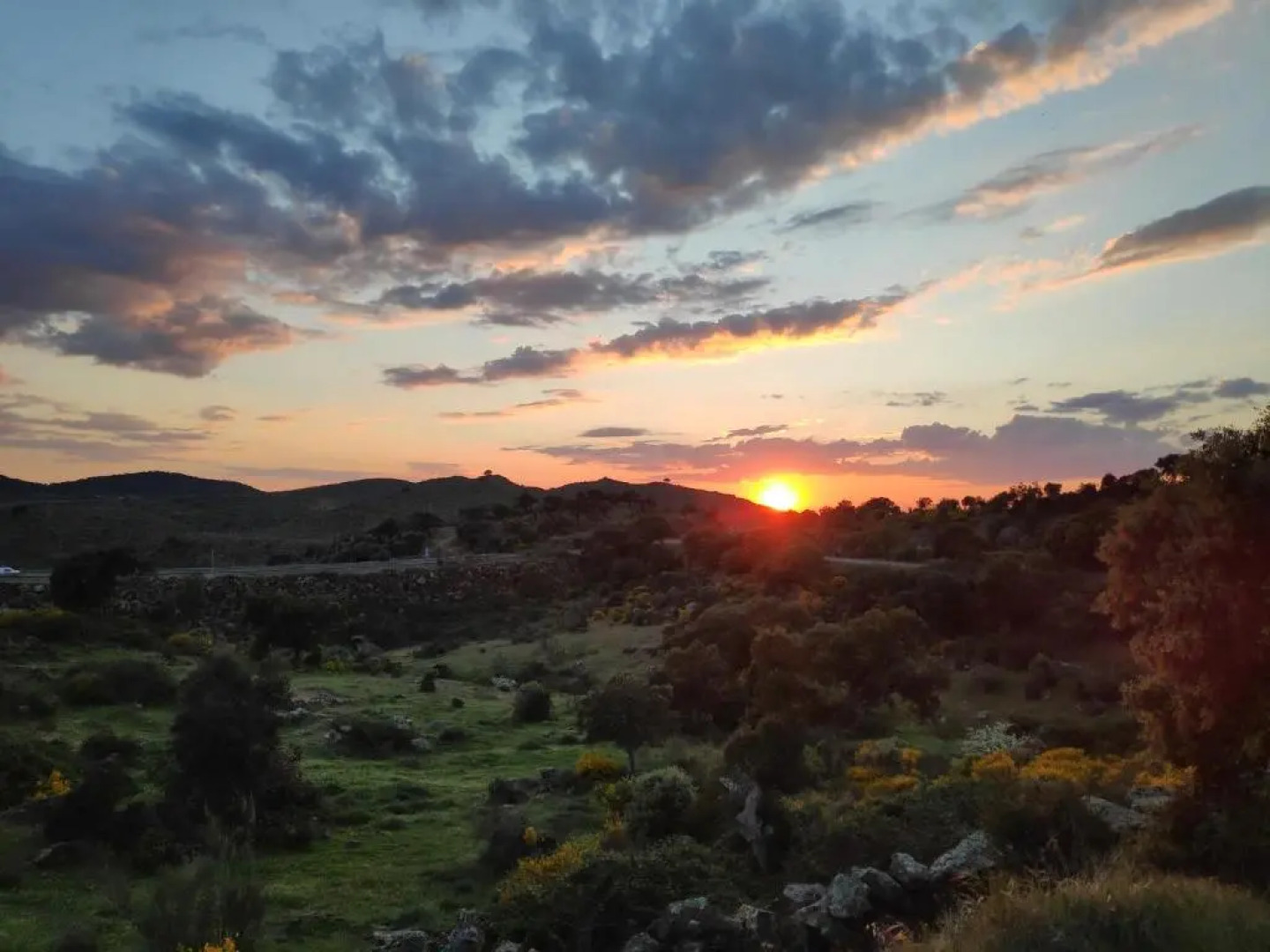 Apartamentos turísticos SINUHÉ