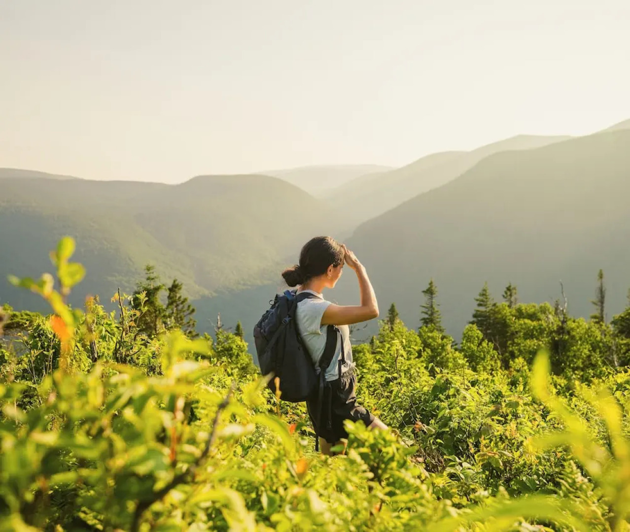 Auberge de Montagne des Chic-Chocs - Sepaq