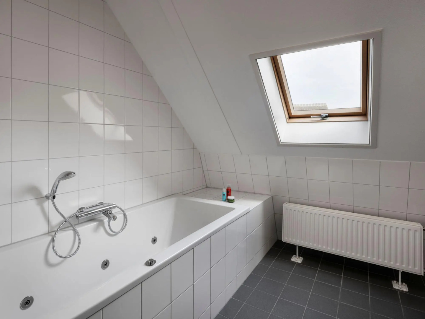 Luxury villa with whirlpool and jacuzzi, 8 km from Hoogeveen