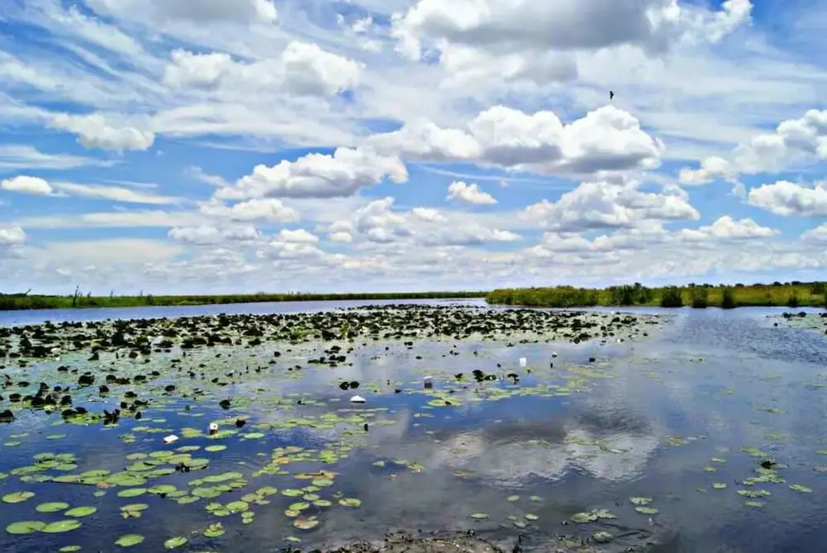 Unlimited Luxury Lodge in Kasane