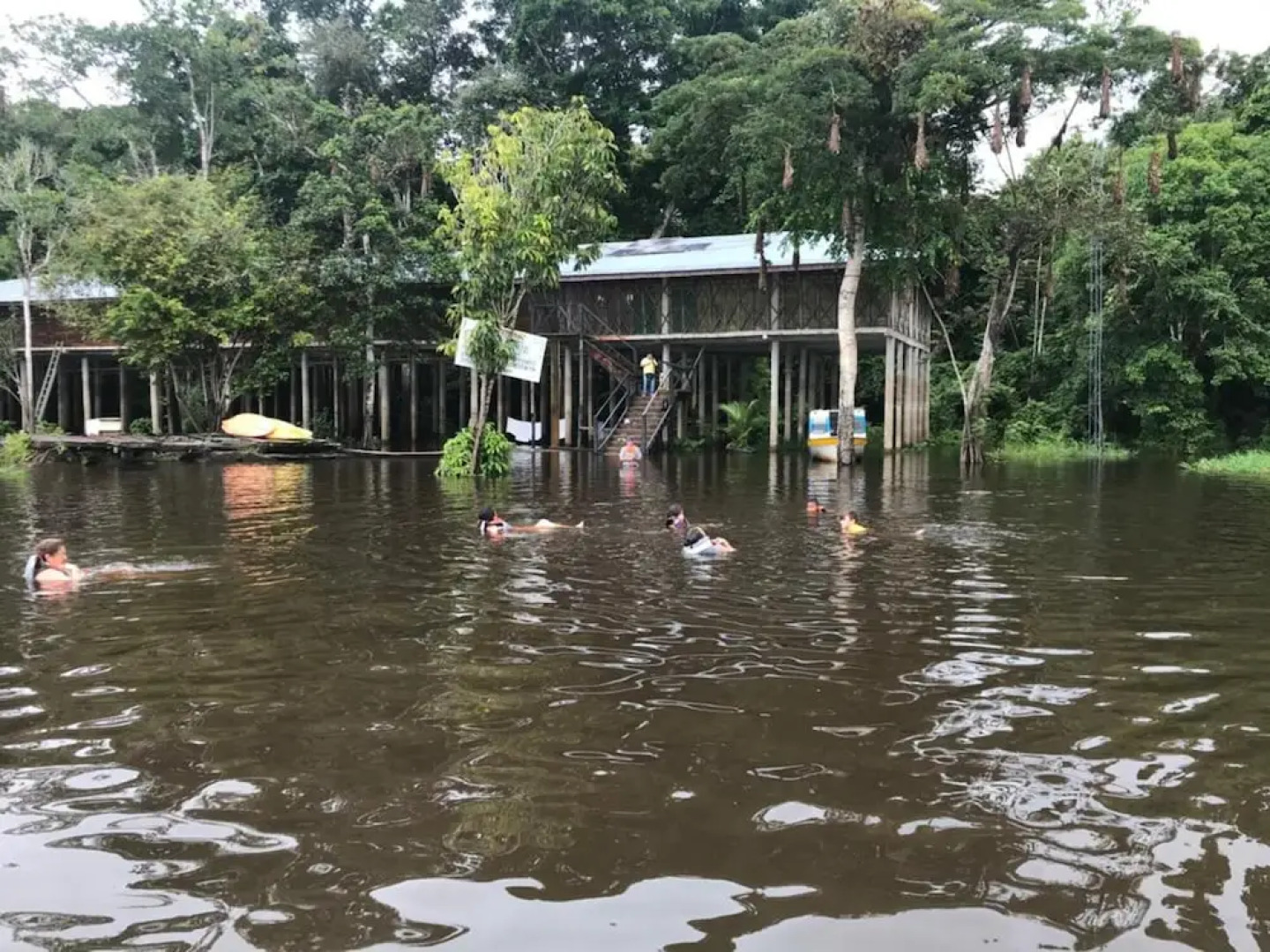 Reserva Natural Yavary Tucano
