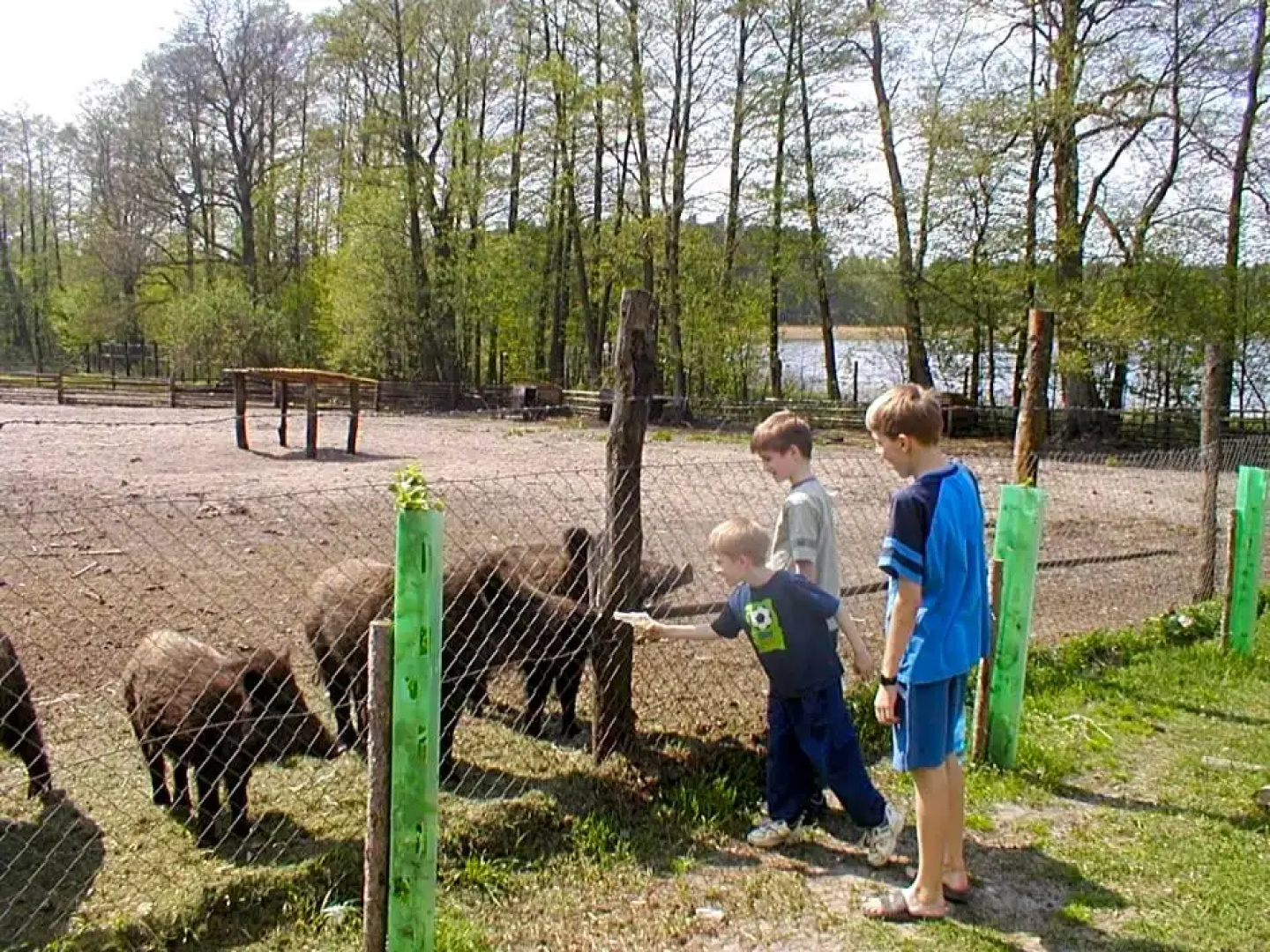 Domek Bory Tucholskie