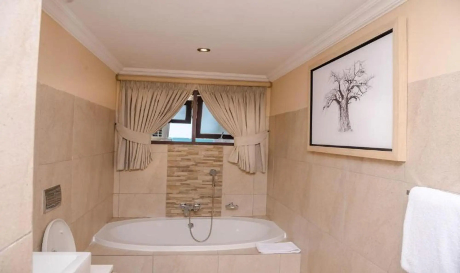 Sunbird Livingstonia Beach