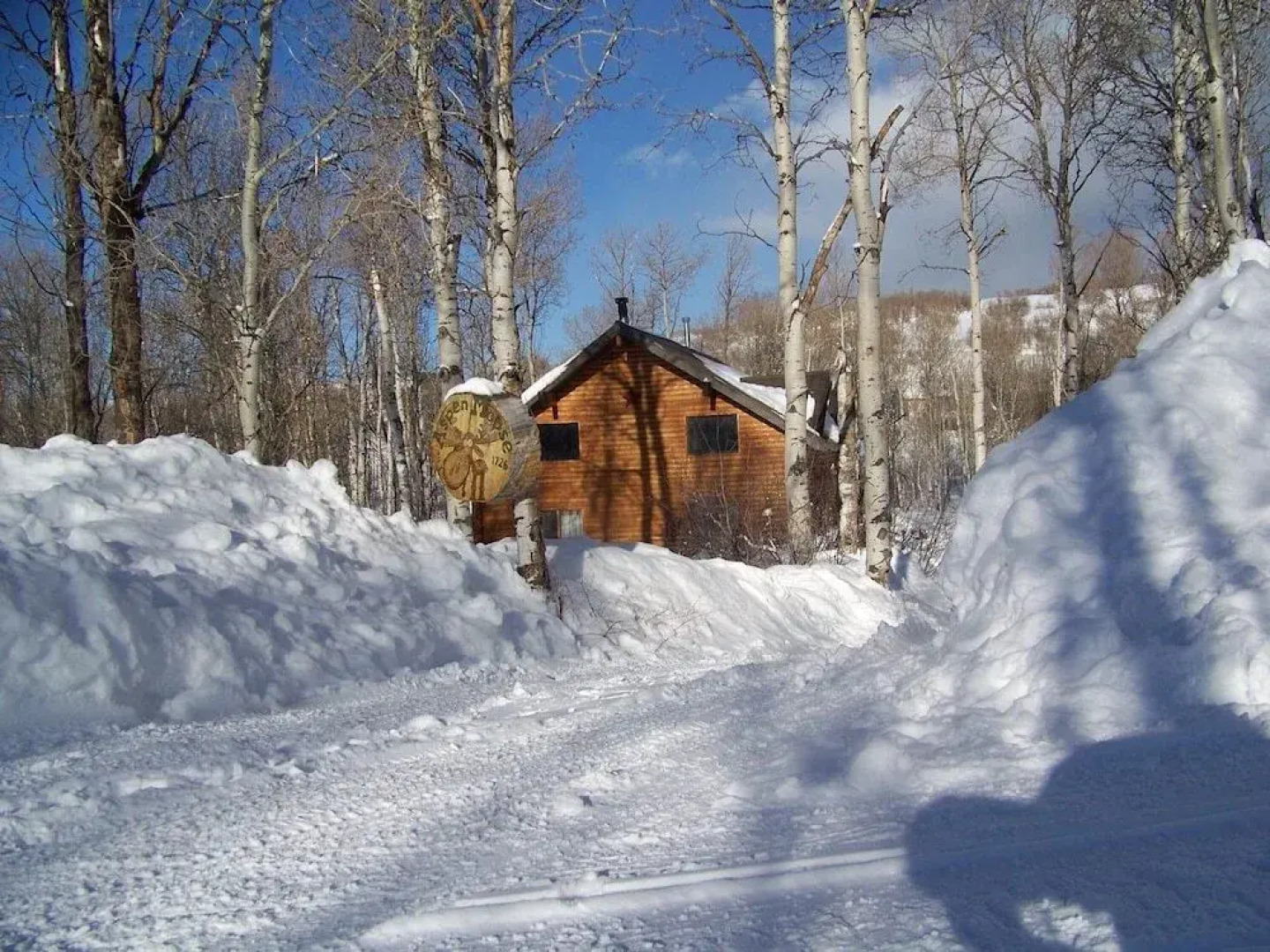The Aspen Moose Vacation Cabin
