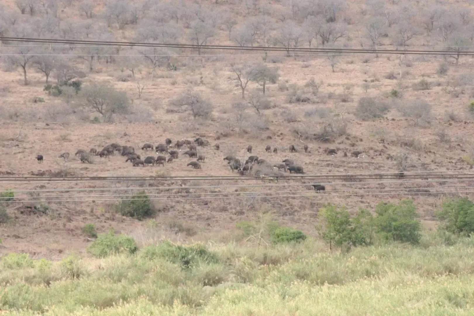 Villa Too Kruger Lodge