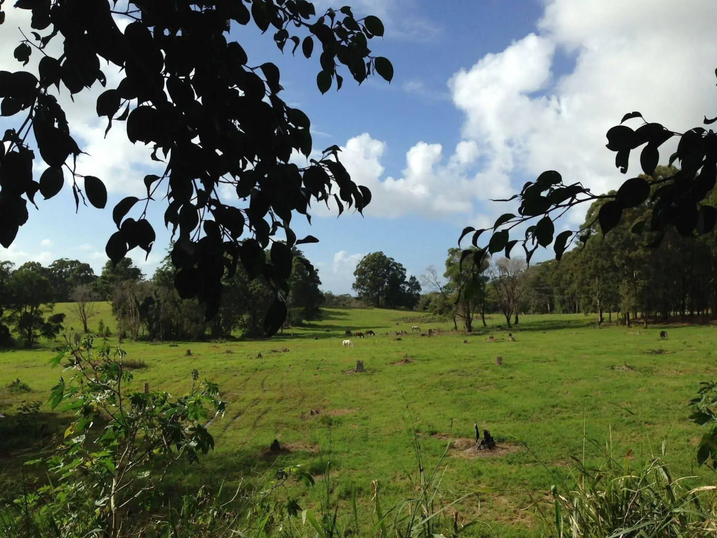 Noosa Edge Retreat - Только для взрослых