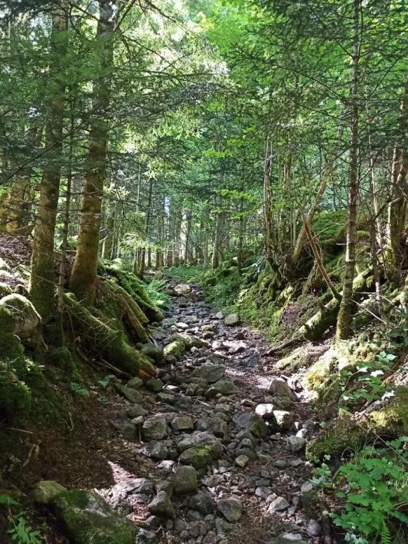 A L'Ancienne Grange - Chambres d'hôtes