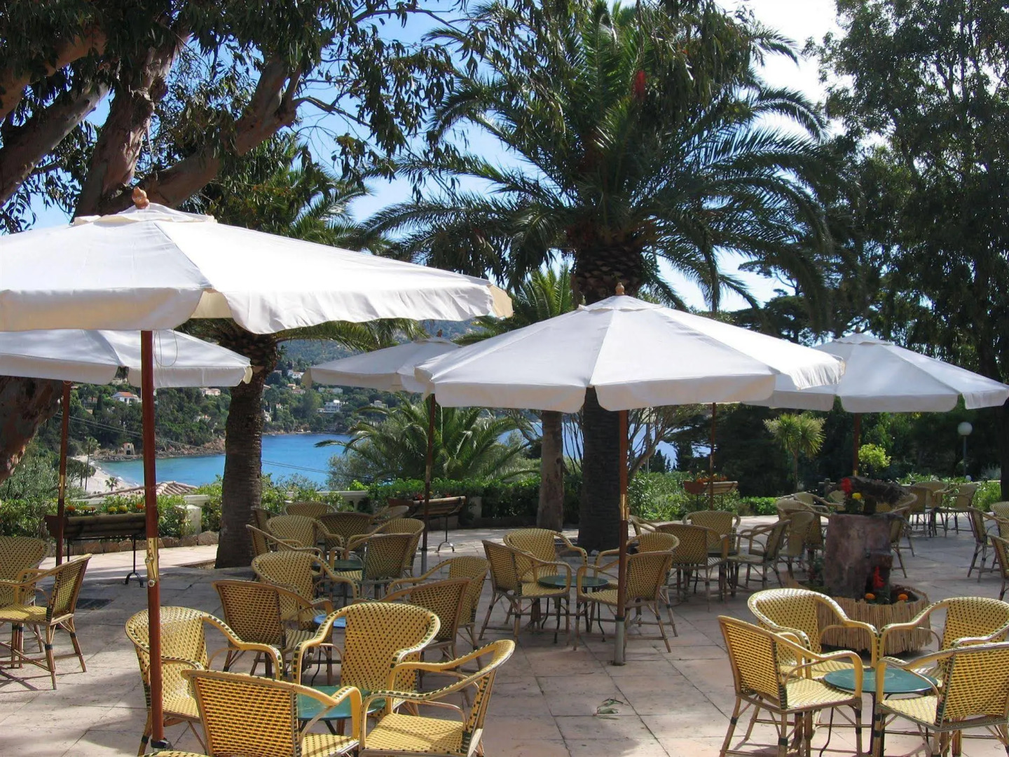 Domaine De La Pinede