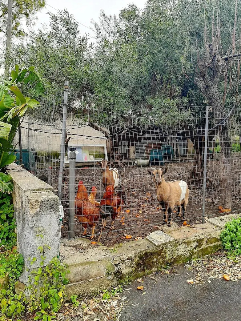 Villa With one Bedroom in Augusta, With Wonderful Mountain View, Shared Pool and Enclosed Garden Near the Beach