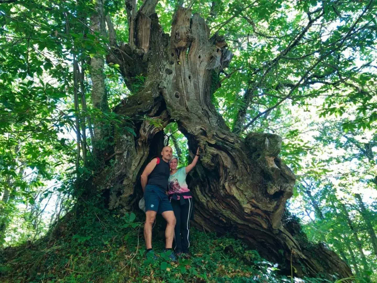 Pensión Blanco Conde