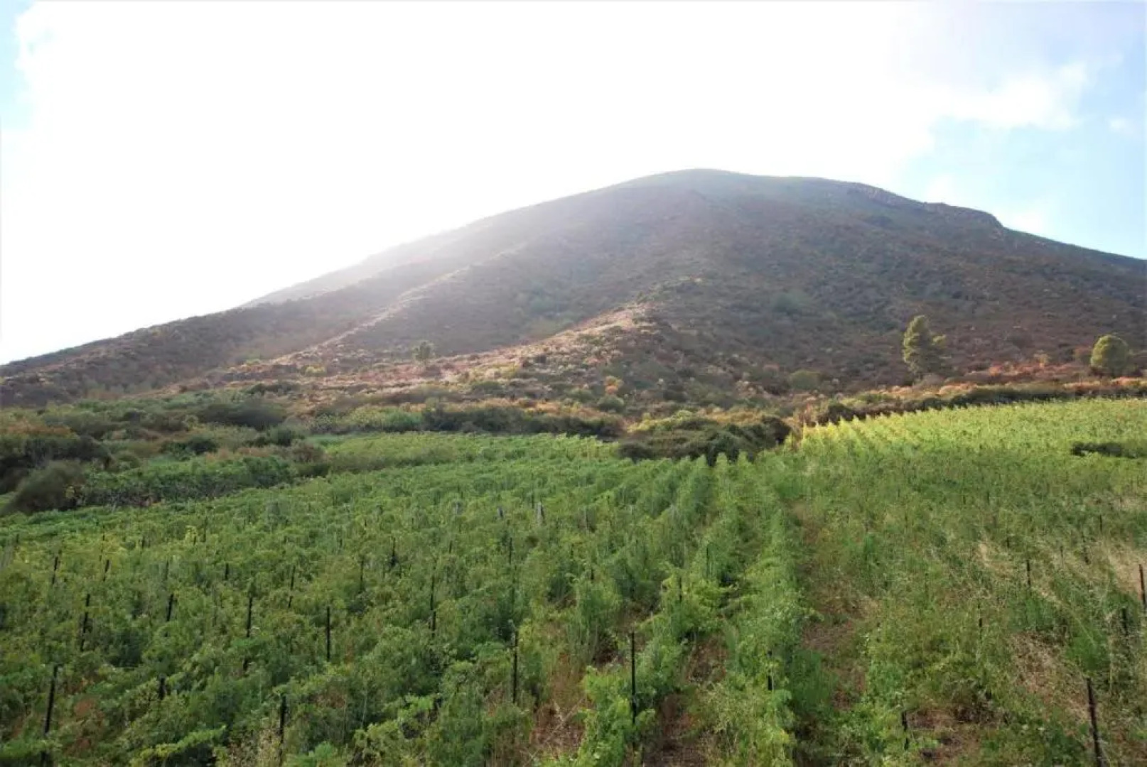 Casa I 10 Pulera - Ampio E Fresco Terrazzo Panoramico