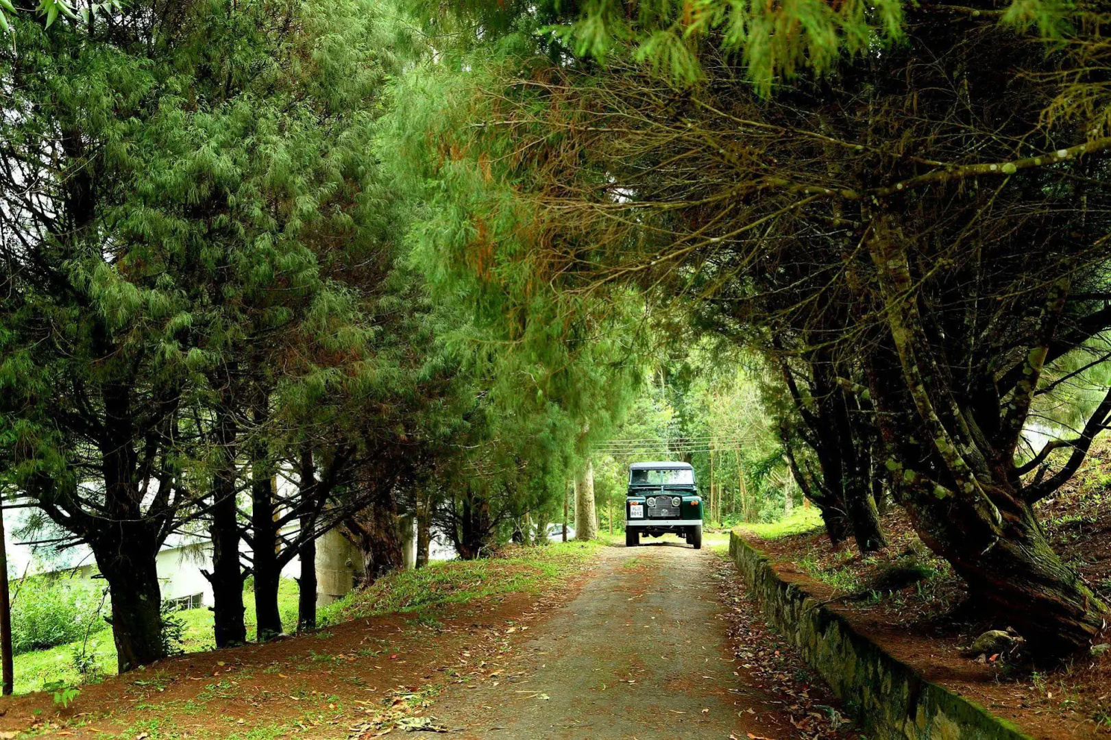 Hillon Resorts
