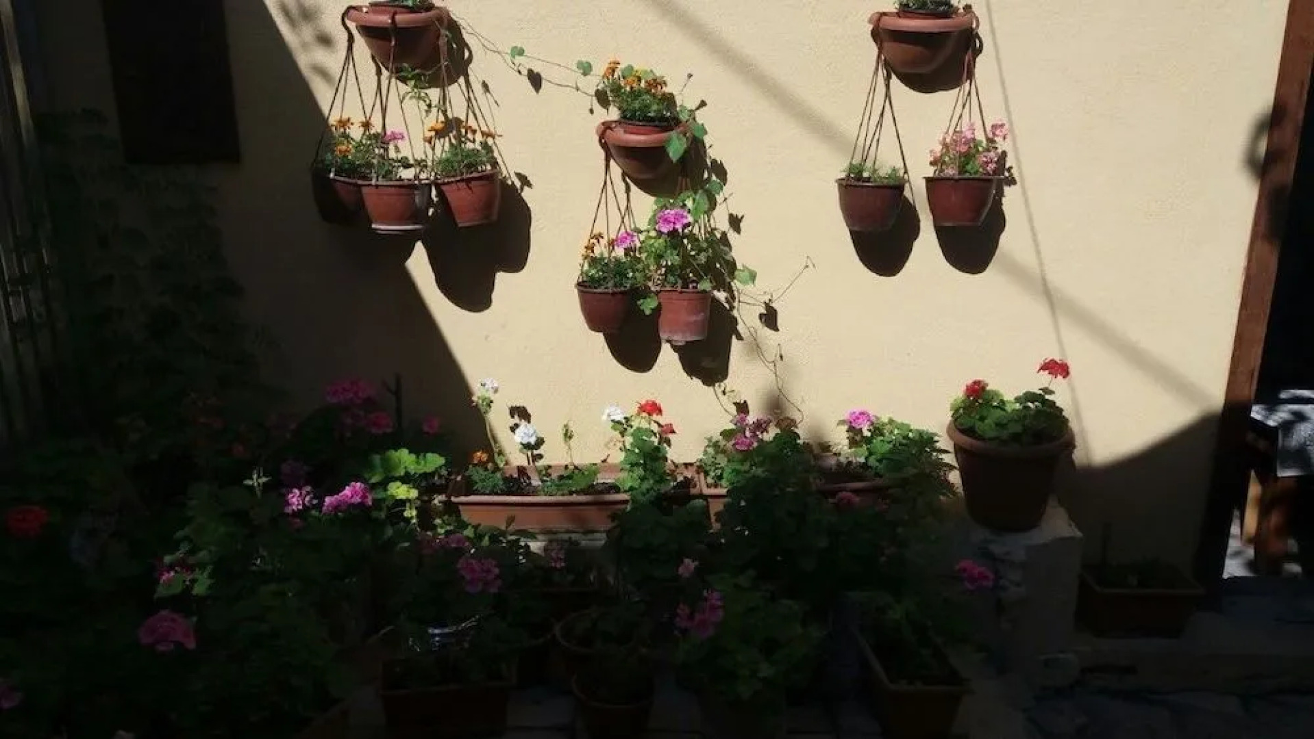 White House - Beyaz Konak