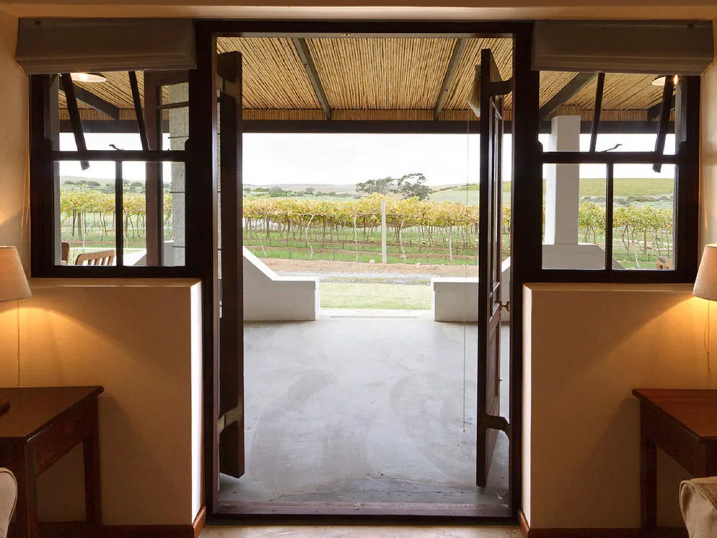 Endless Vineyards at Wildekrans Wine Estate