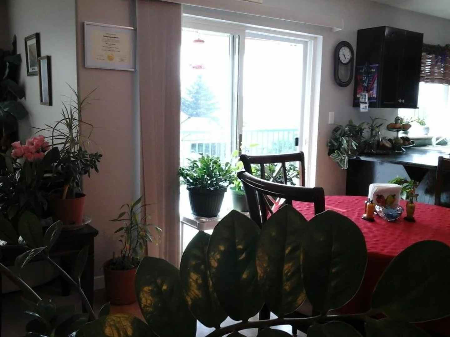 Aurora's Bed & Breakfast