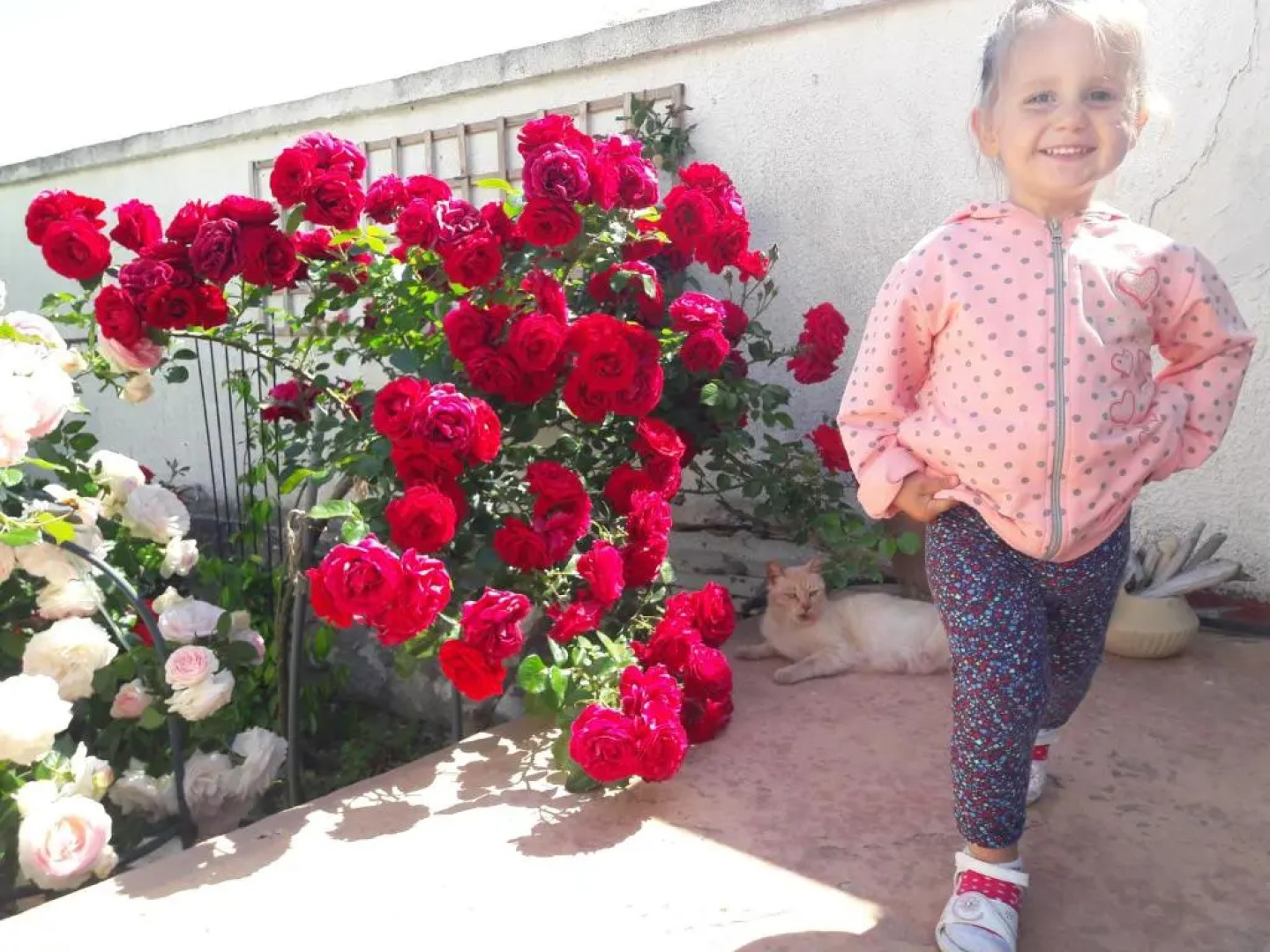 Villa Byala Grape House