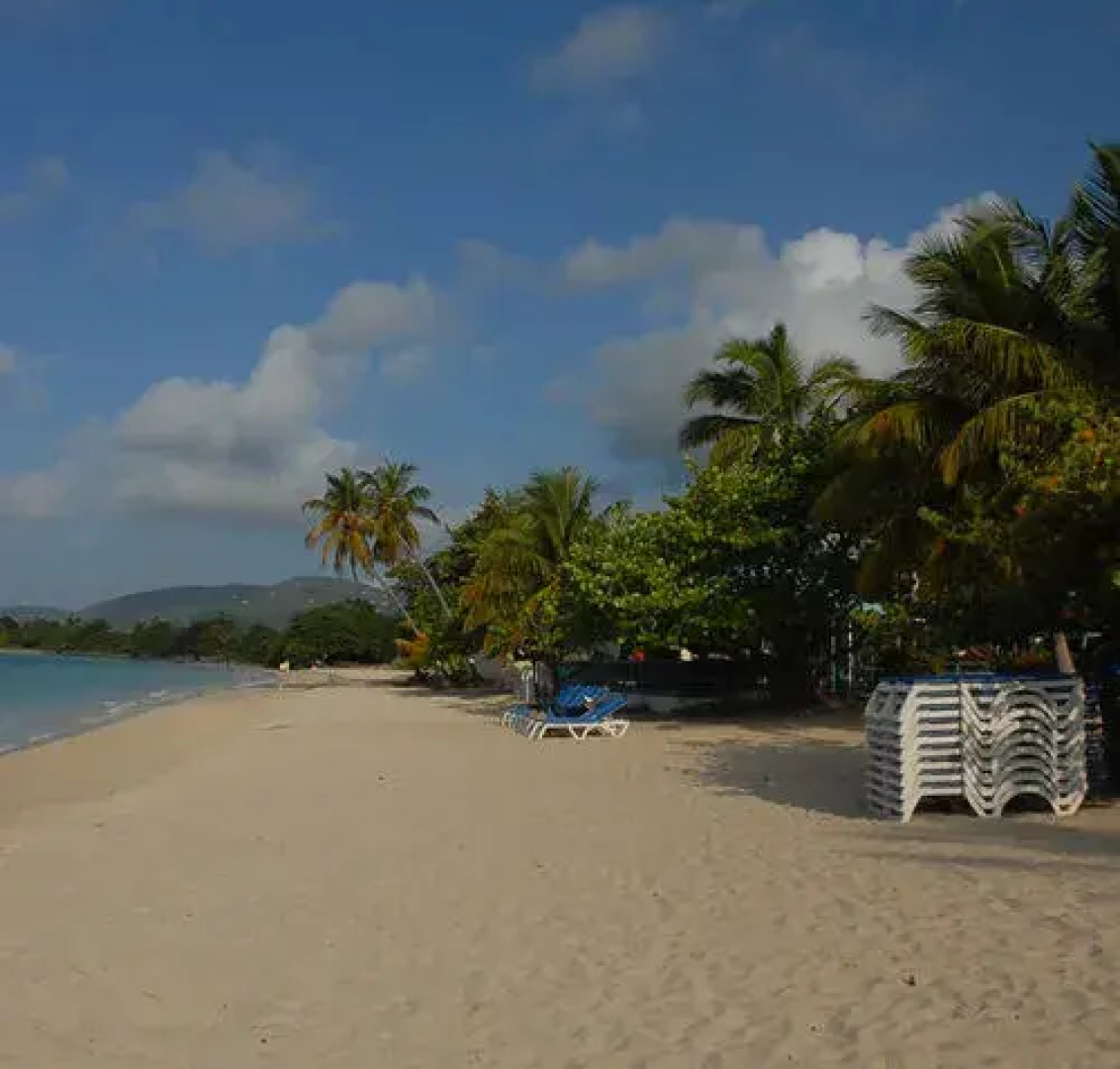 Island Beach Comber