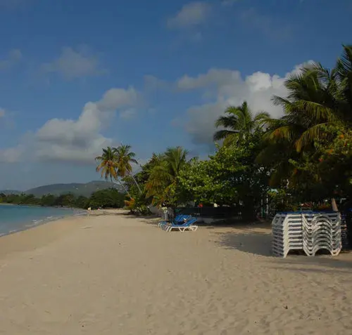 Island Beach Comber