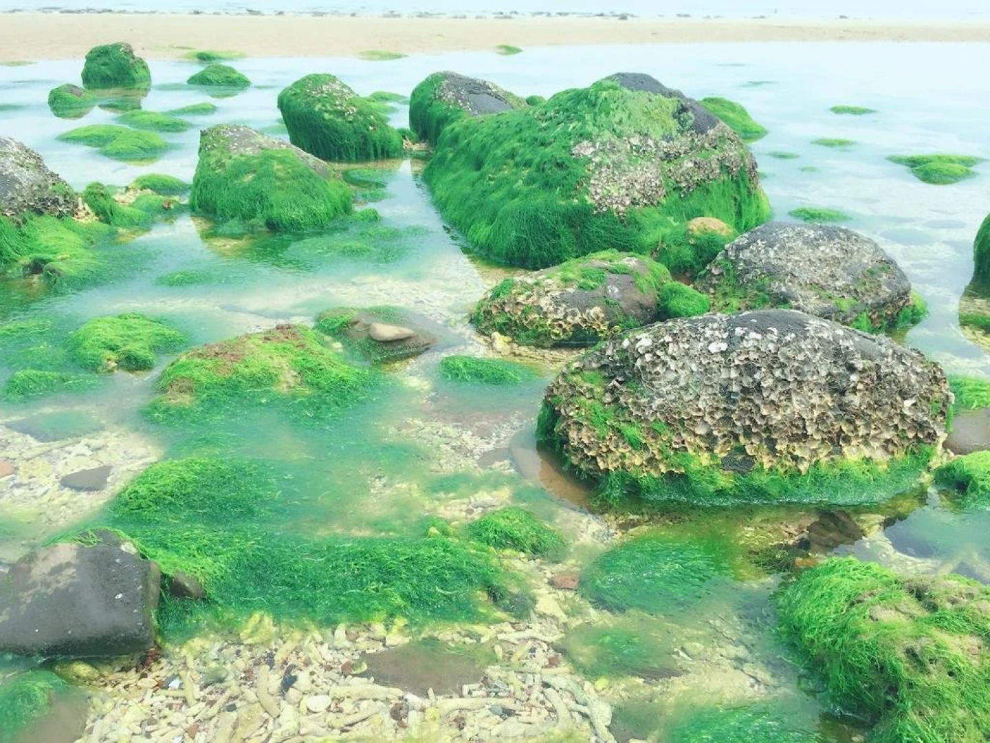 Beihai Weizhou Island Small Time Inn