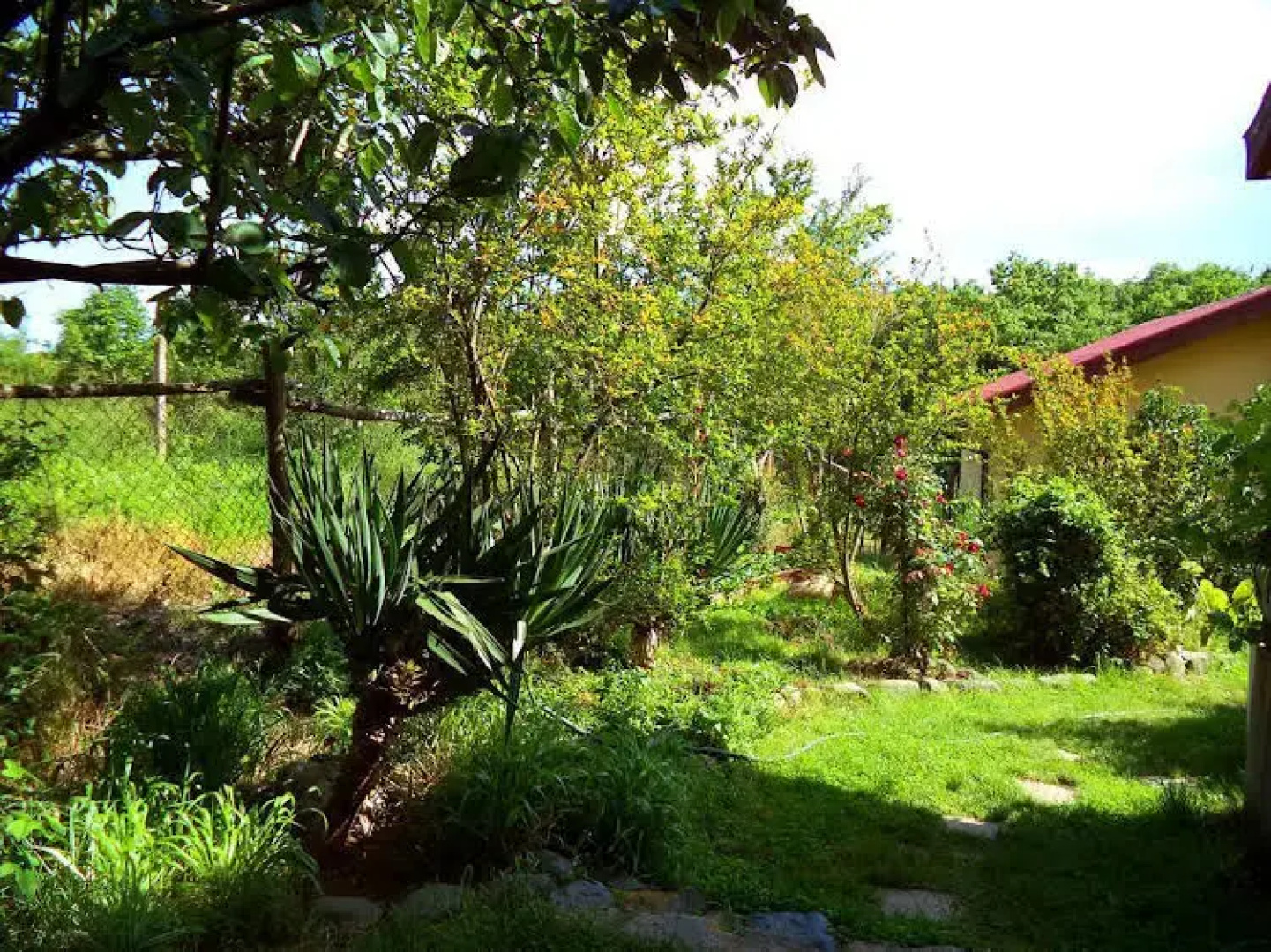 Casa Verde Villa