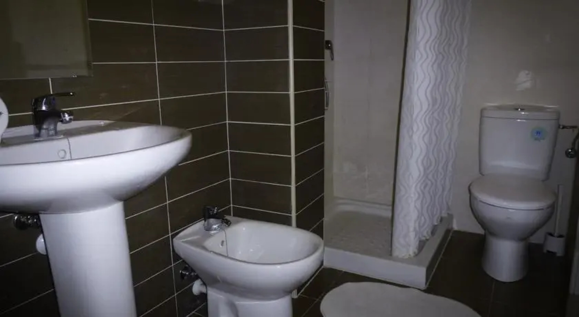 Invierano Las Orquídeas