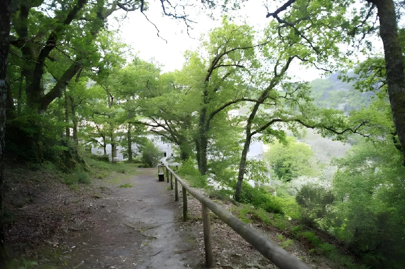 Parador de Santo Estevo