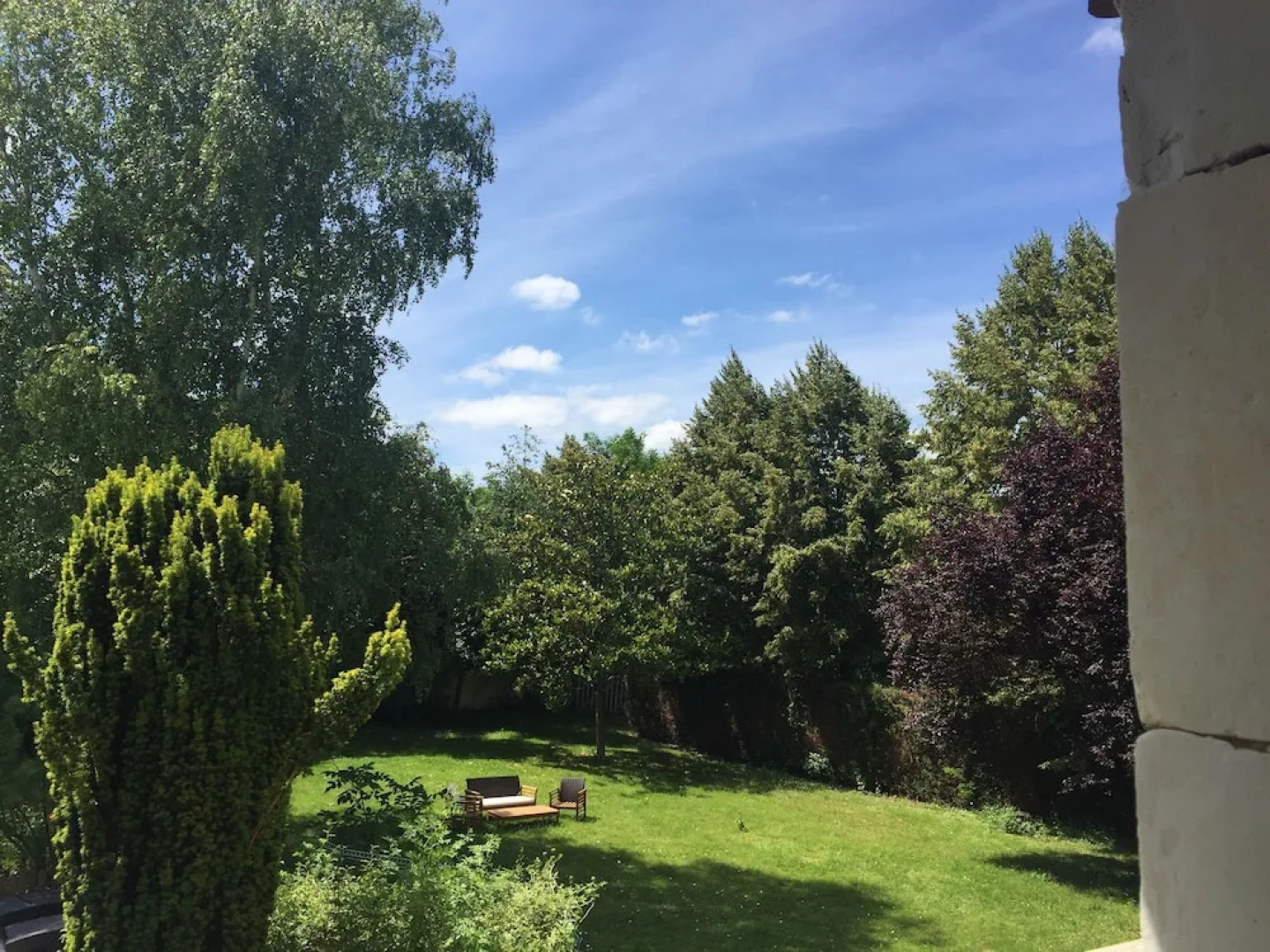 Au Prince Grenouille