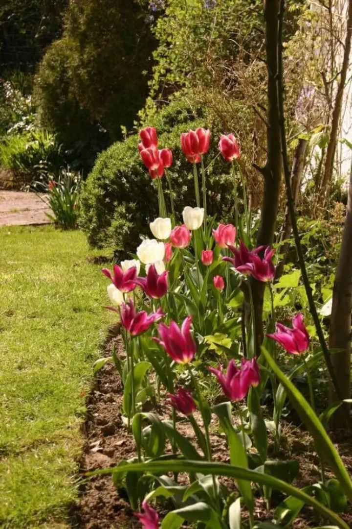 Thimbles Bed & Breakfast