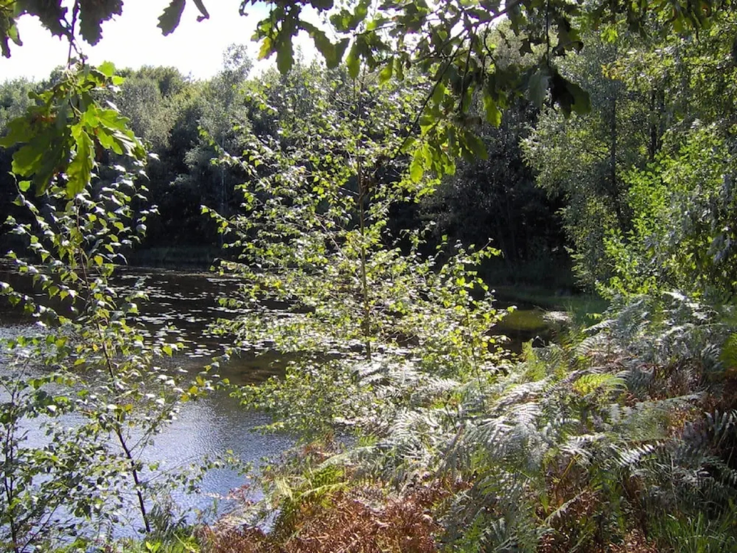 Wooden Chalet With a Washer, Near a Lake