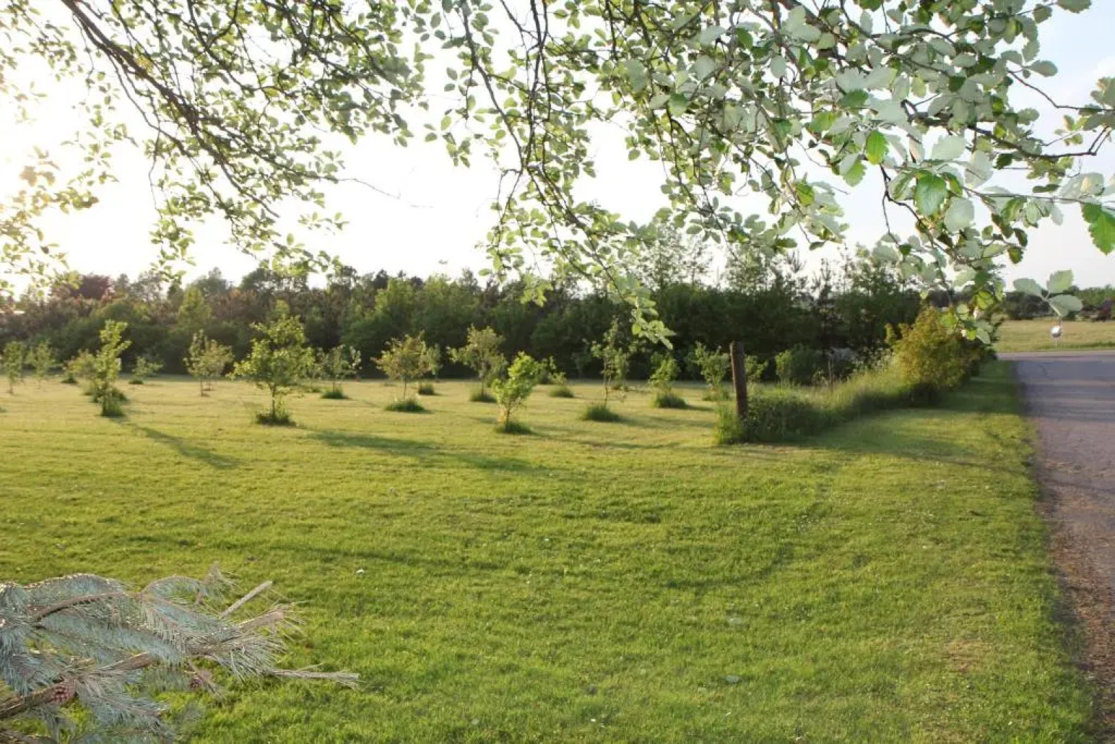 Strandsegård Ferielejligheder