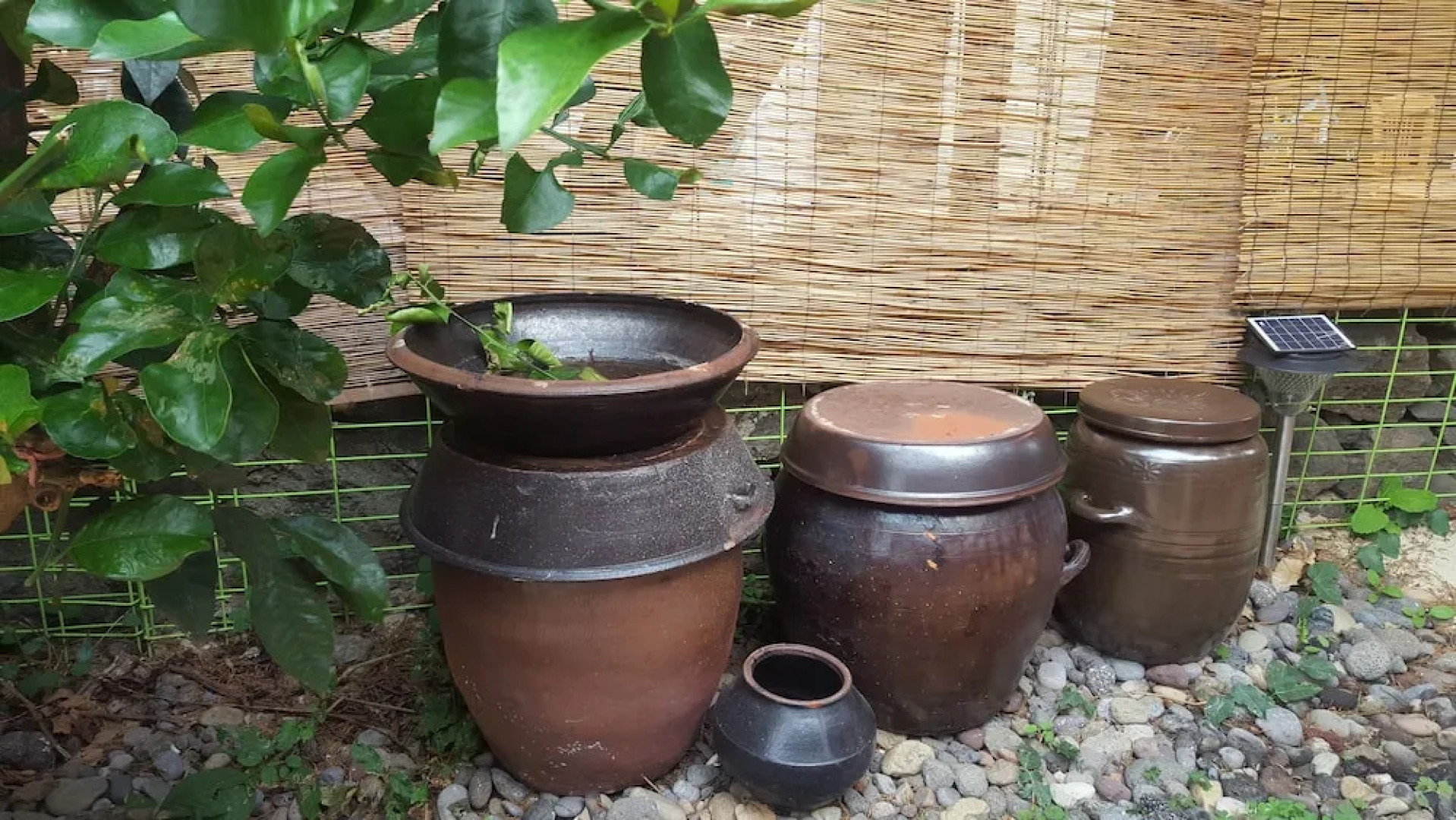 Wellbeing Guesthouse