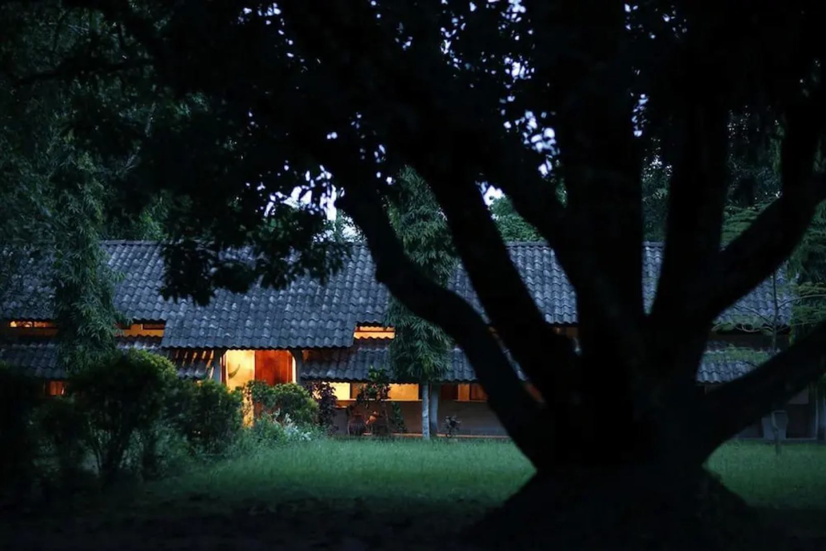 Tiger Tops Tharu Lodge