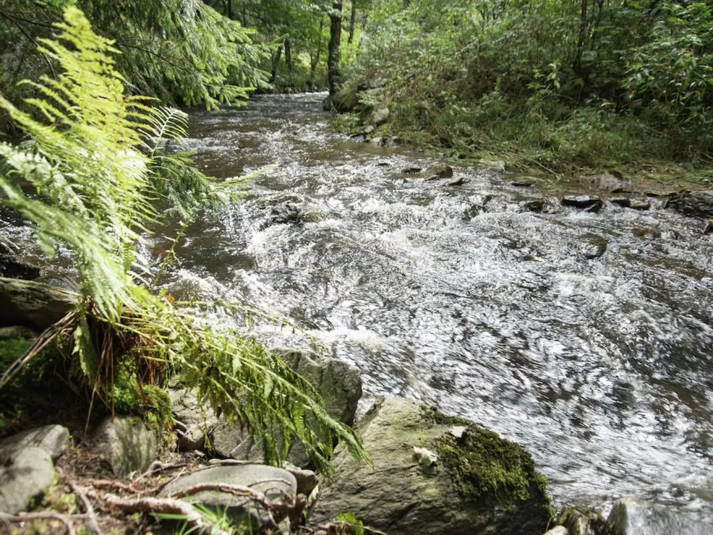 Majestic Stay in Deutschneudorf