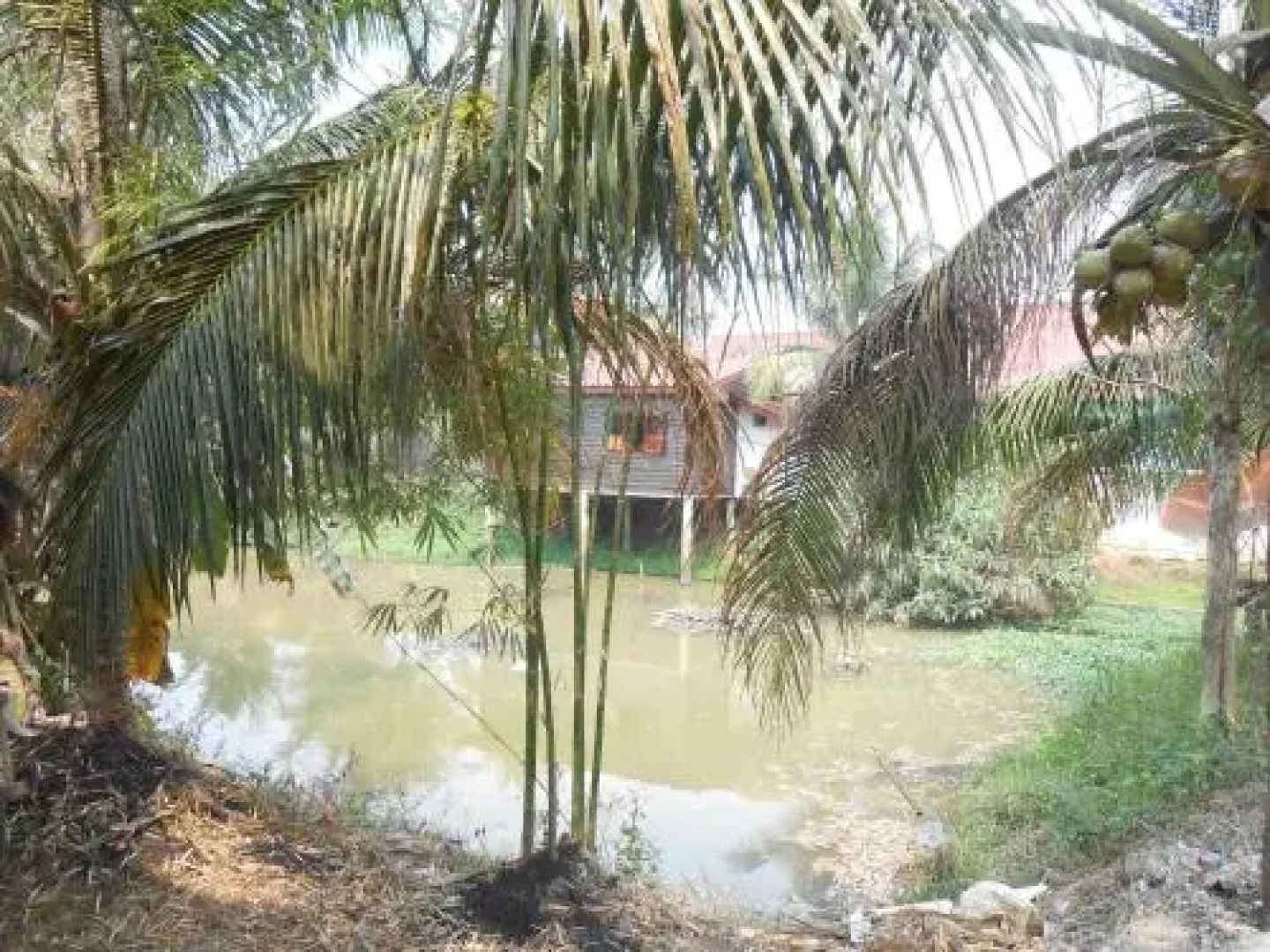 Three Sisters Resort