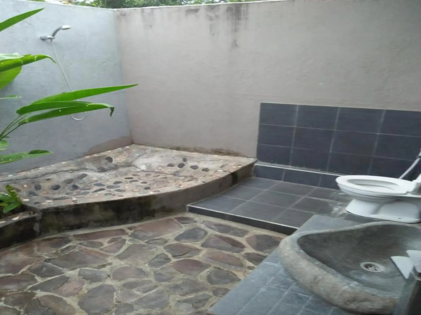 Memes House Backpacker