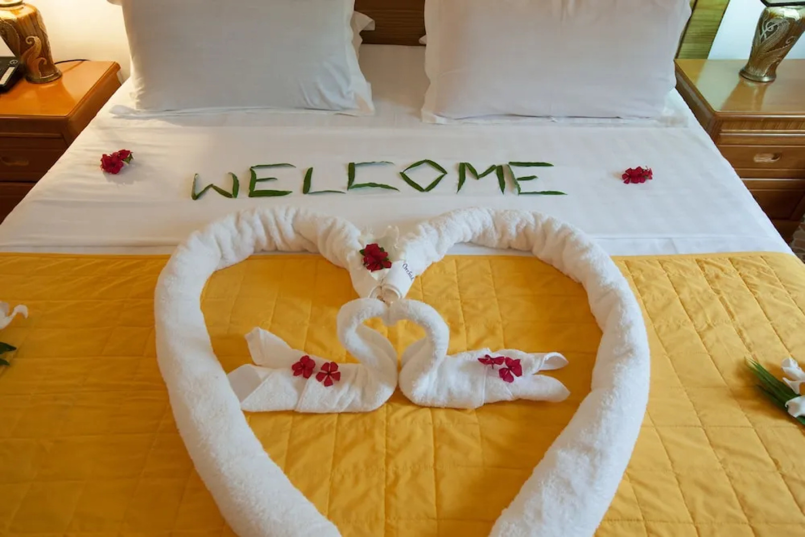 Orchid Self Catering Apartment