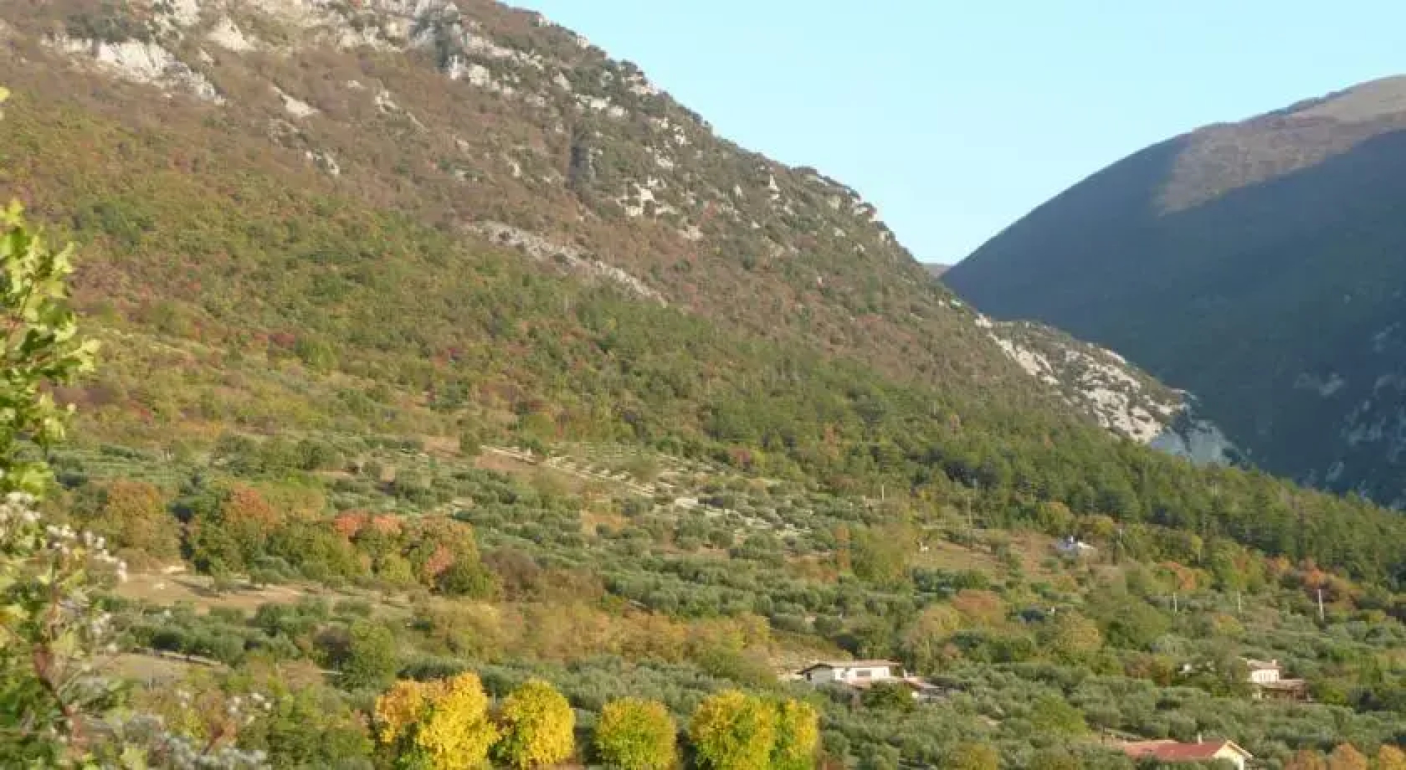 Country house il Gelsomino