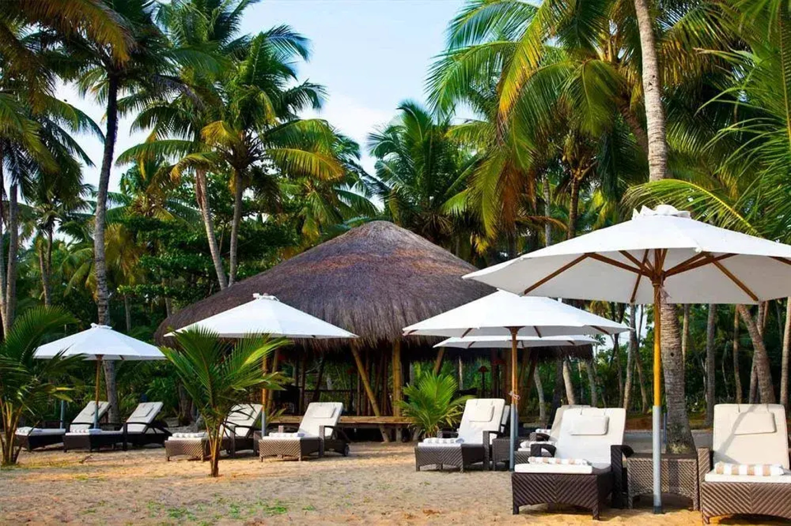 Carnoustie Ayurveda & Wellness Resort