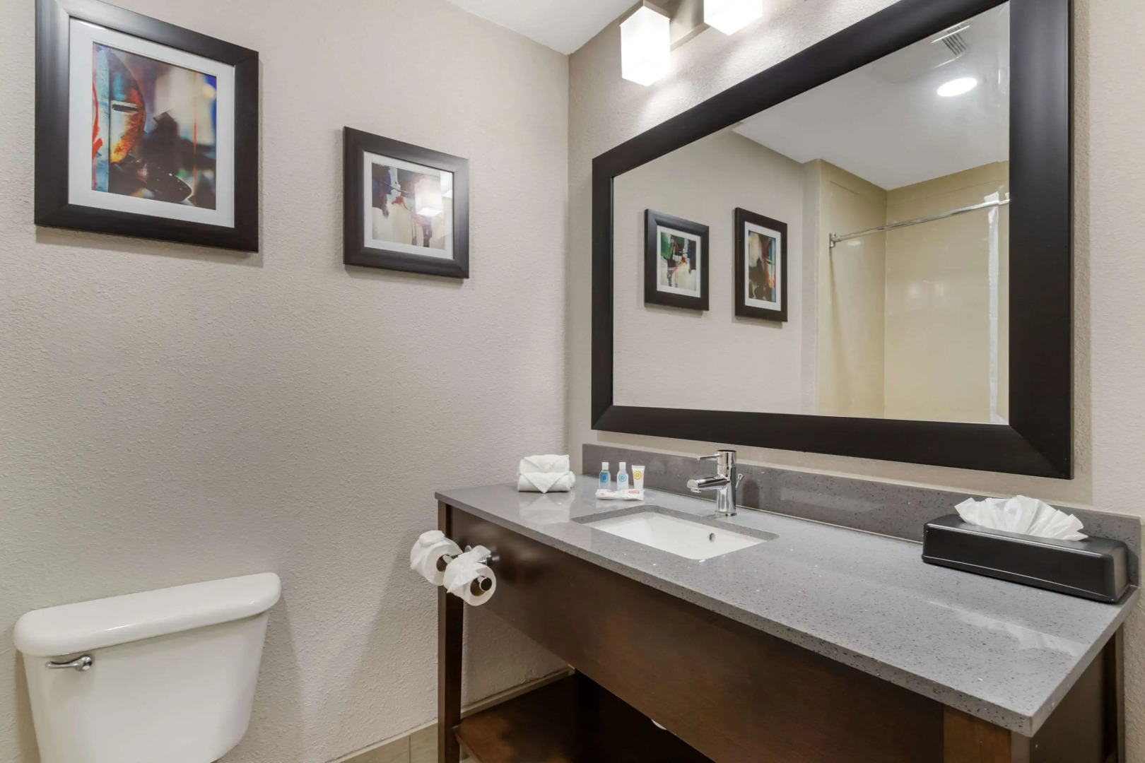 Comfort Suites Shenandoah-The Woodlands