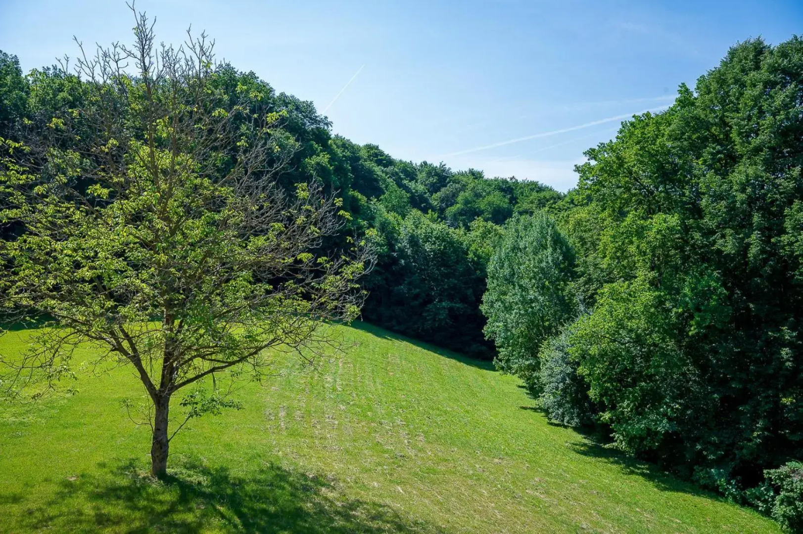 Residenz Styrian Toskana Splendid