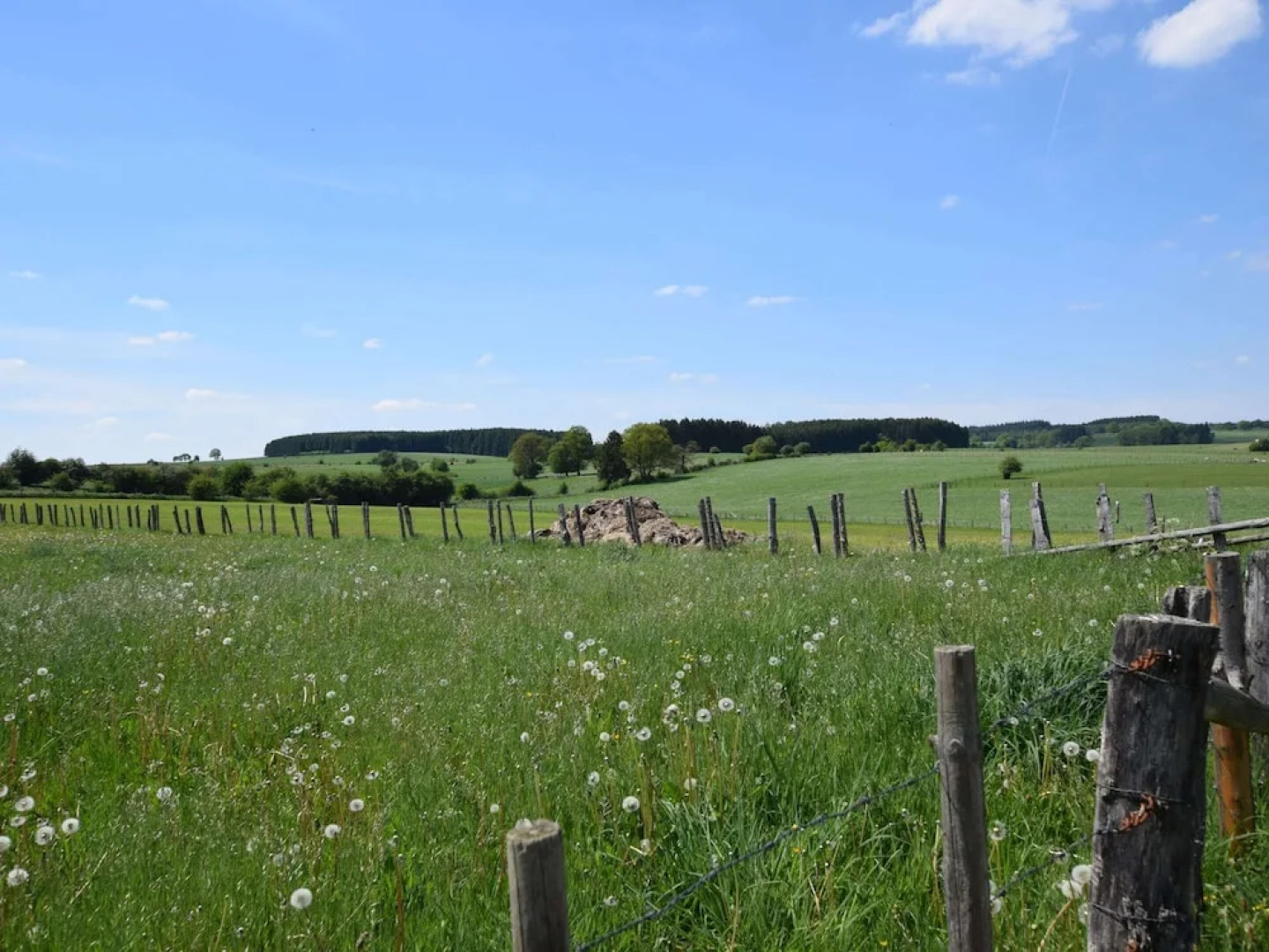 Villa in Houffalize With Infrared Sauna