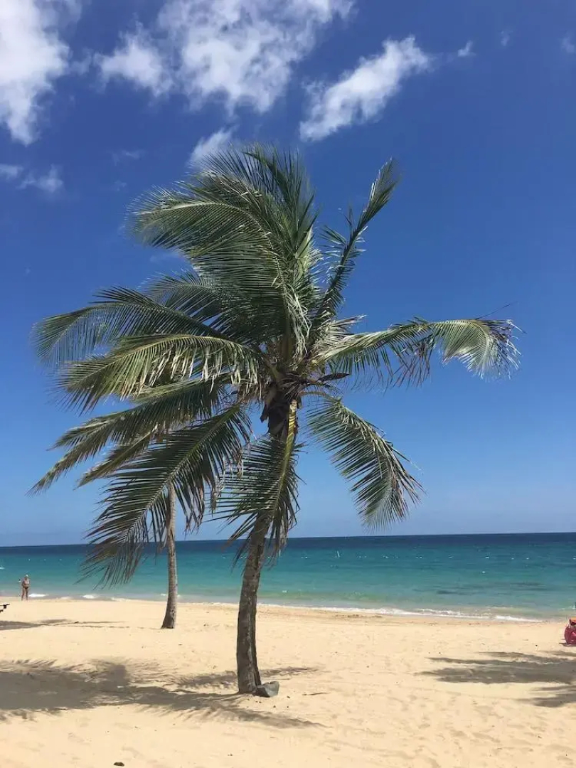 Coqui del Mar Guest House