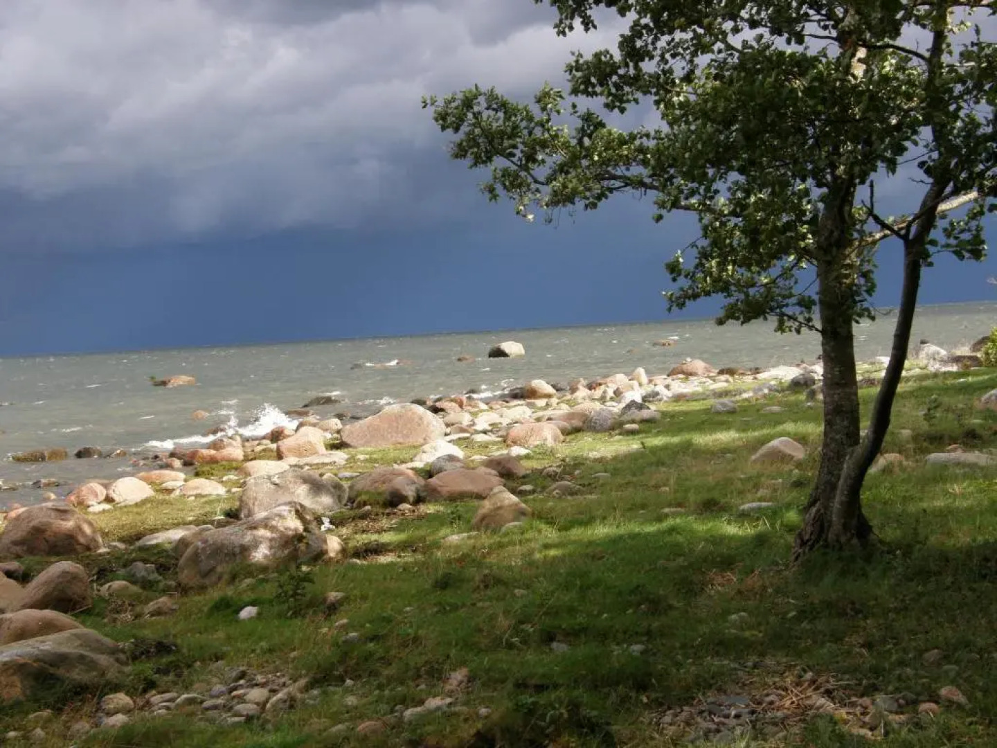 Arma Riding Farm And Holiday Home